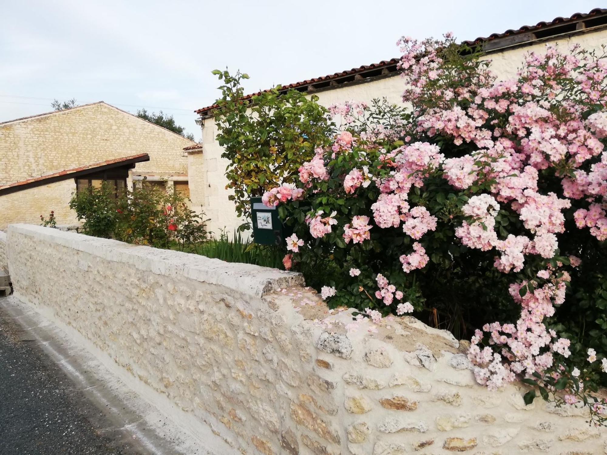 Gites Chez Belliveau Meursac Exterior foto