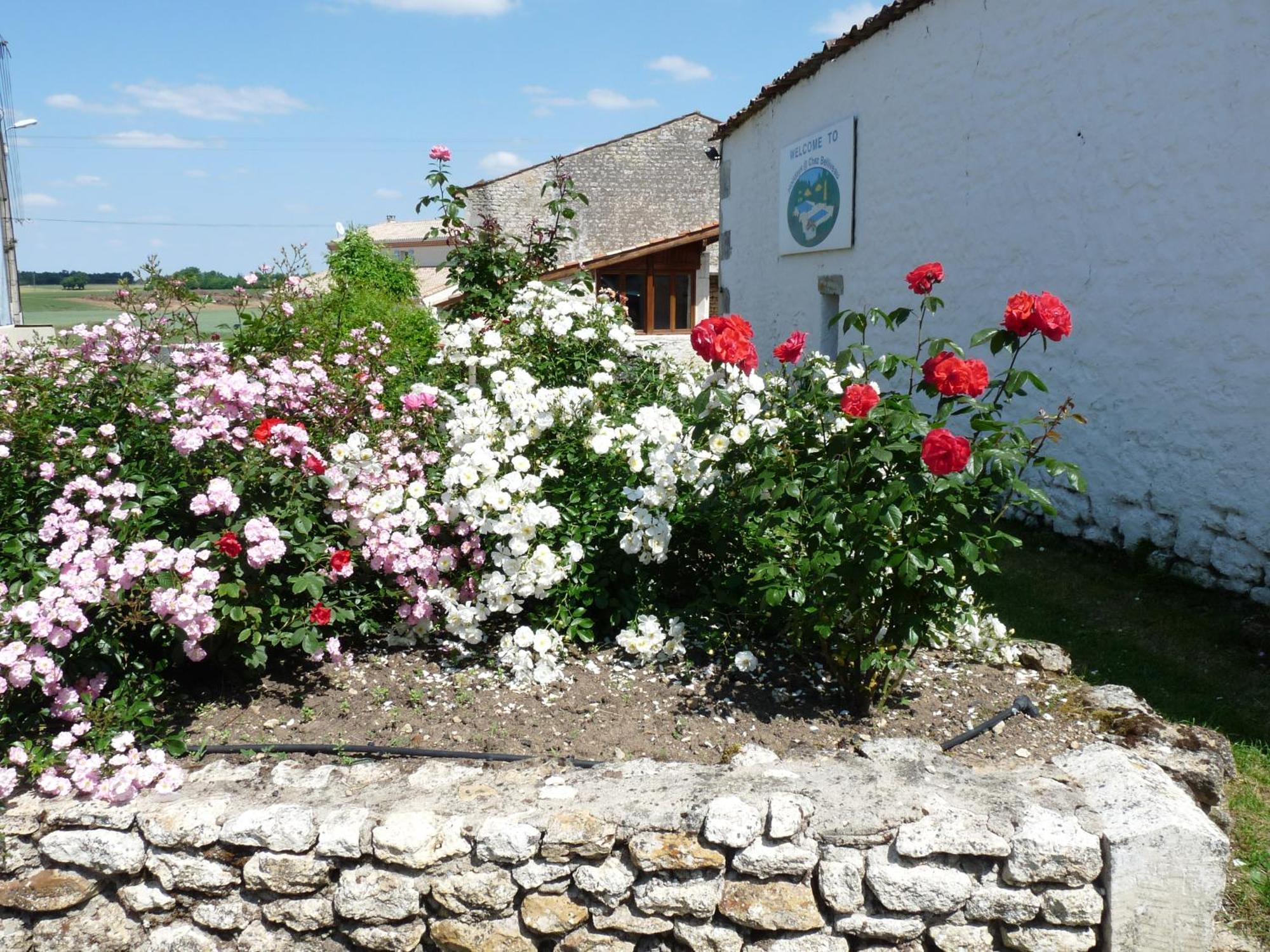Gites Chez Belliveau Meursac Exterior foto