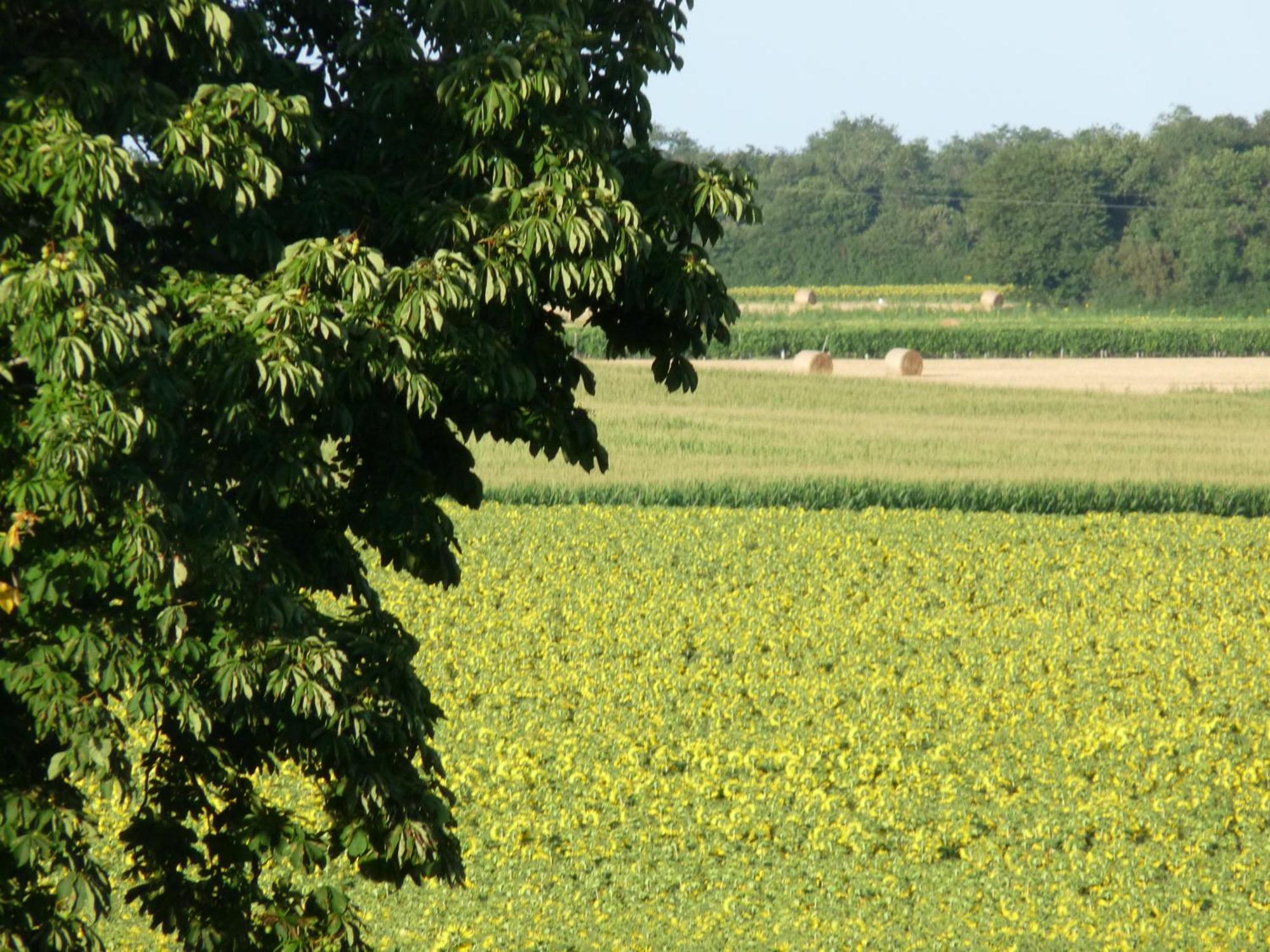 Gites Chez Belliveau Meursac Exterior foto