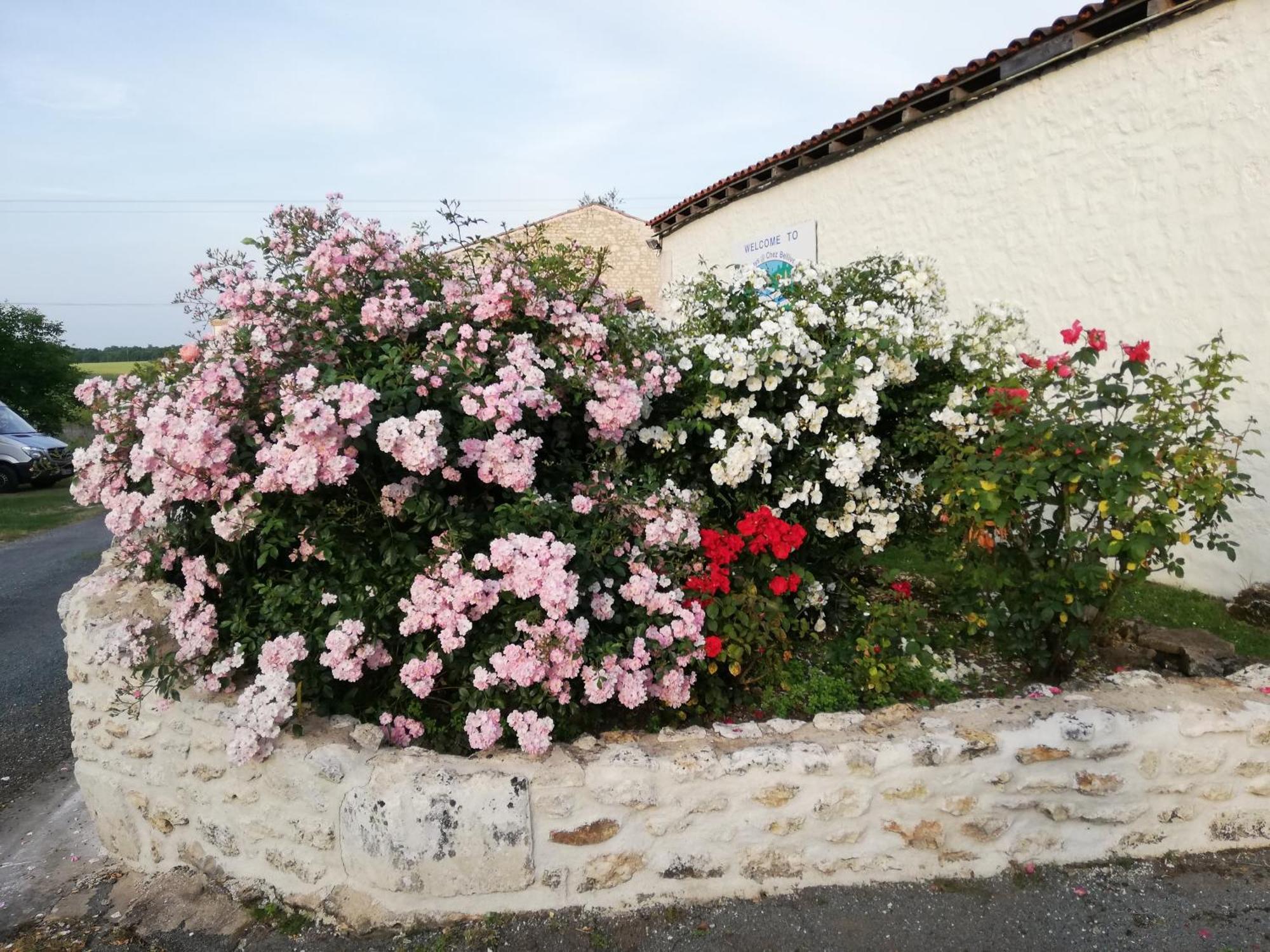 Gites Chez Belliveau Meursac Exterior foto